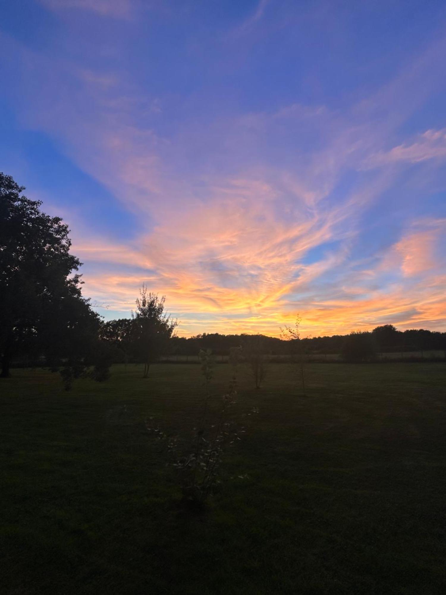 Bed and Breakfast La Fraise Chaumont-sur-Tharonne Exterior foto